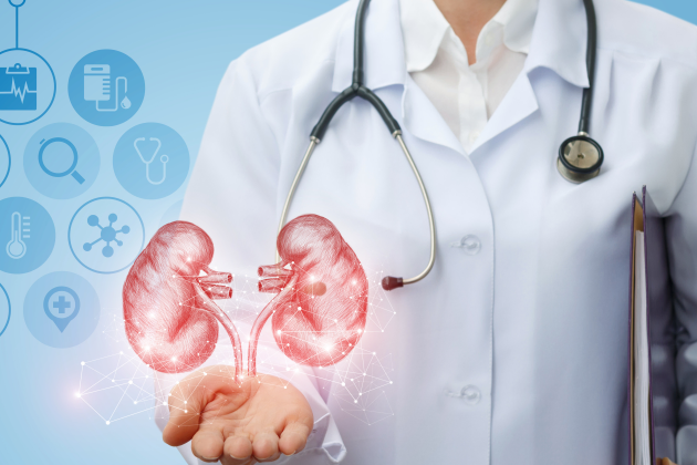 Urologia
